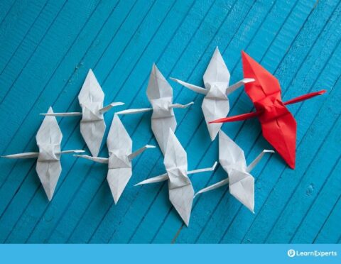 Leadership Training - LearnExperts